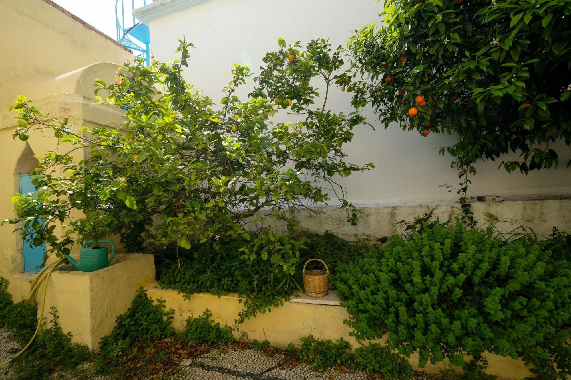 Ferienwohnung Archontiko Pataka Rhodes City Exterior foto